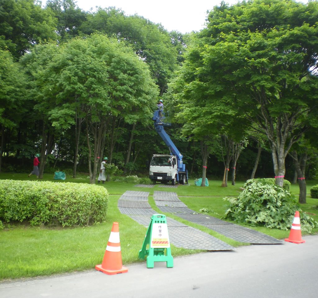 屈足ダム　樹木剪定